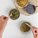 Lemongrass & Ginger Test Tube Tea | Organics for Lily