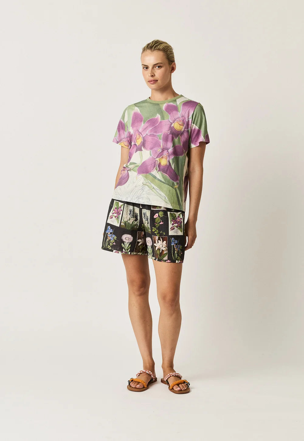 Apollo Tee Bollea Orchid