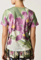 Apollo Tee Bollea Orchid