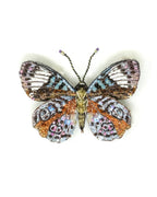 Trovelore Glorious Purplewing Butterfly Brooch