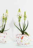 Decorative Plant Pot | Floral Forager