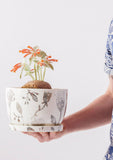 Decorative Plant Pot Silver Garden