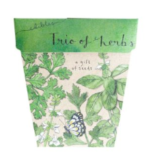 Trio of Herbs Gift of Seeds