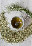 Lemongrass & Ginger Test Tube Tea | Organics for Lily